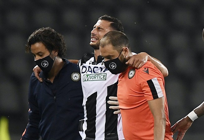 己不仅能在 己不仅能在