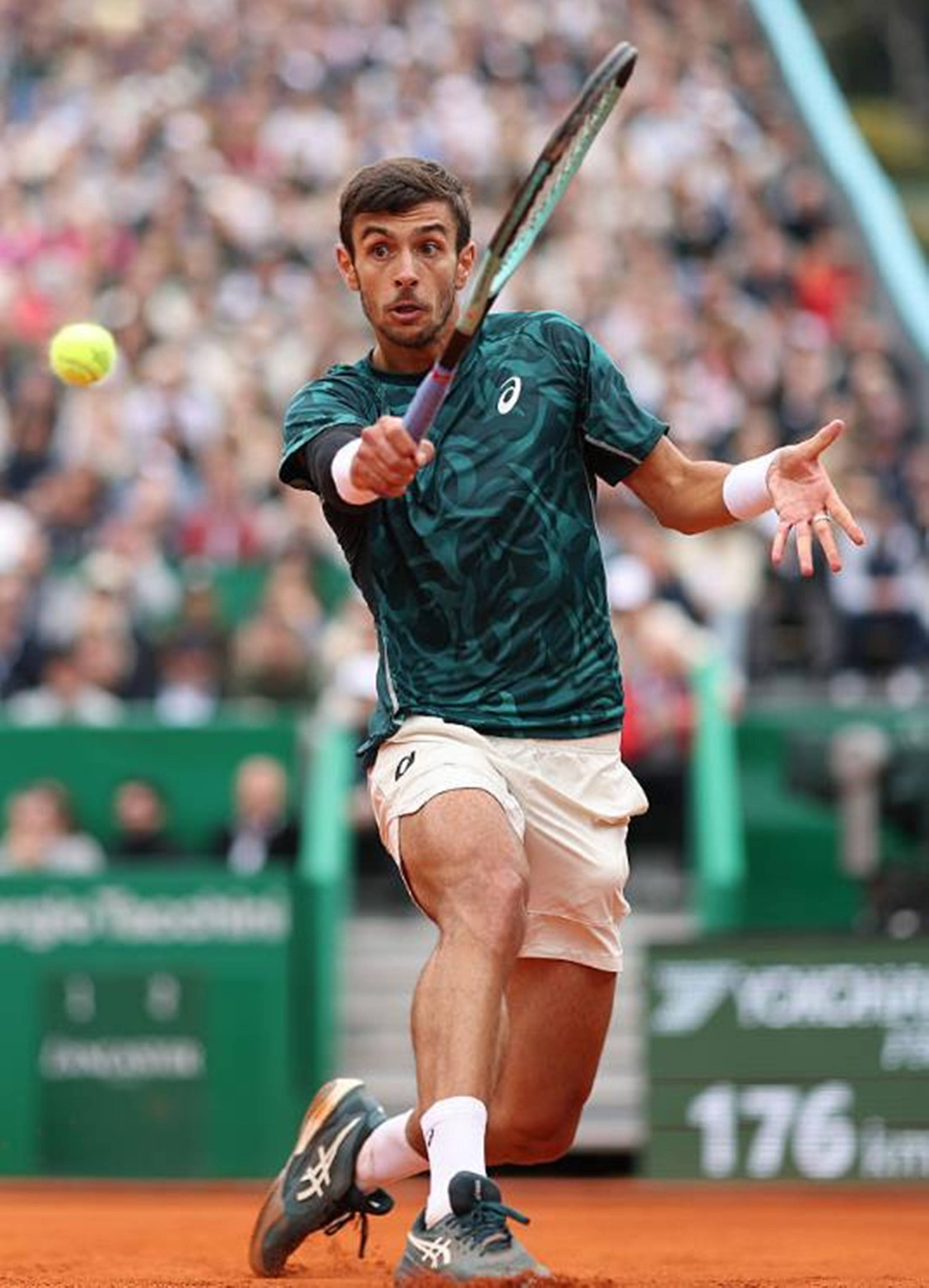 帕夫洛维奇 帕夫洛维奇