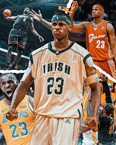 X的战术体 X的战术体